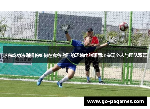 球霸成功法则揭秘如何在竞争激烈的环境中脱颖而出实现个人与团队双赢
