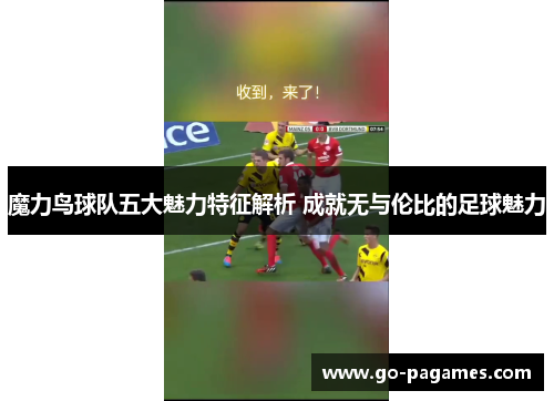 魔力鸟球队五大魅力特征解析 成就无与伦比的足球魅力 魔力鸟球队五大魅力特征解析 成就无与伦比的足球魅力