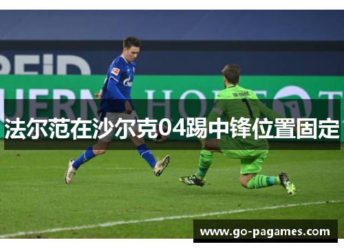 法尔范在沙尔克04踢中锋位置固定