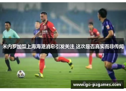 米内罗加盟上海海港消息引发关注 这次是否真实而非传闻