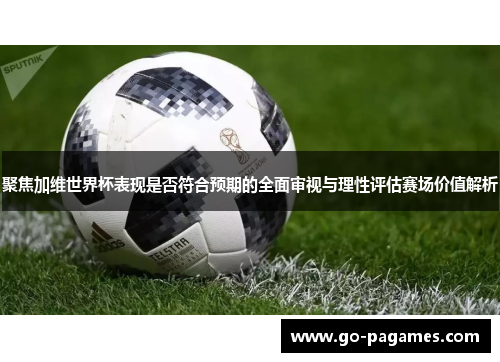 聚焦加维世界杯表现是否符合预期的全面审视与理性评估赛场价值解析