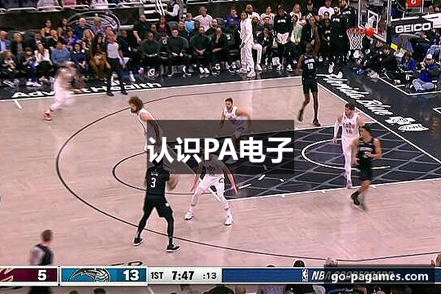 认识PA电子