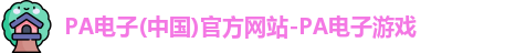 PA电子